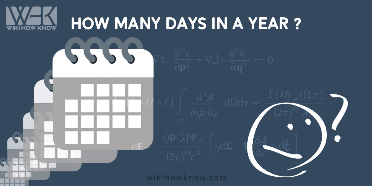 how many days in a year
