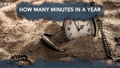 how many minutes in a year