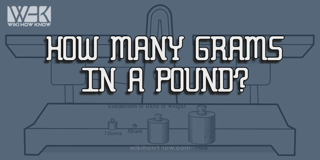 How Many Grams in a Pound? - Wiki How Know