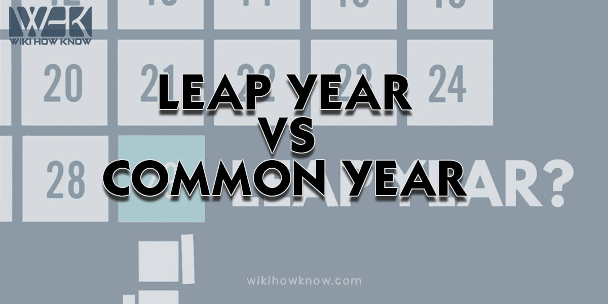 Leap Year VS Common Year