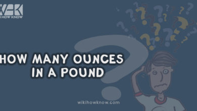 How Many Ounces in a Pound