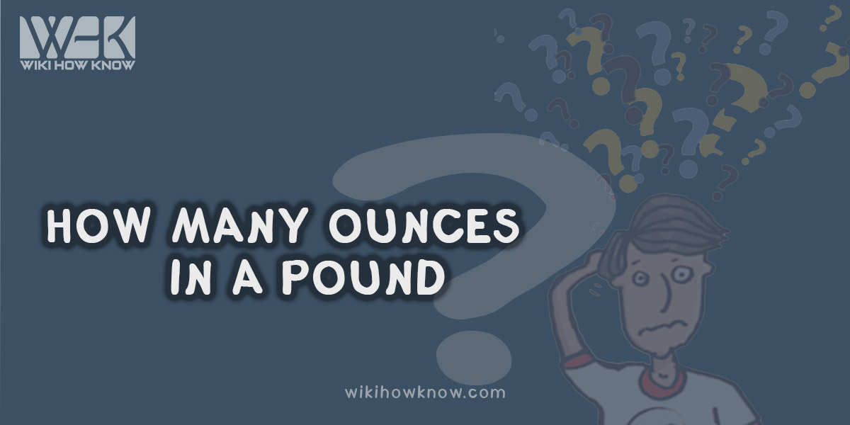 How Many Ounces in a Pound