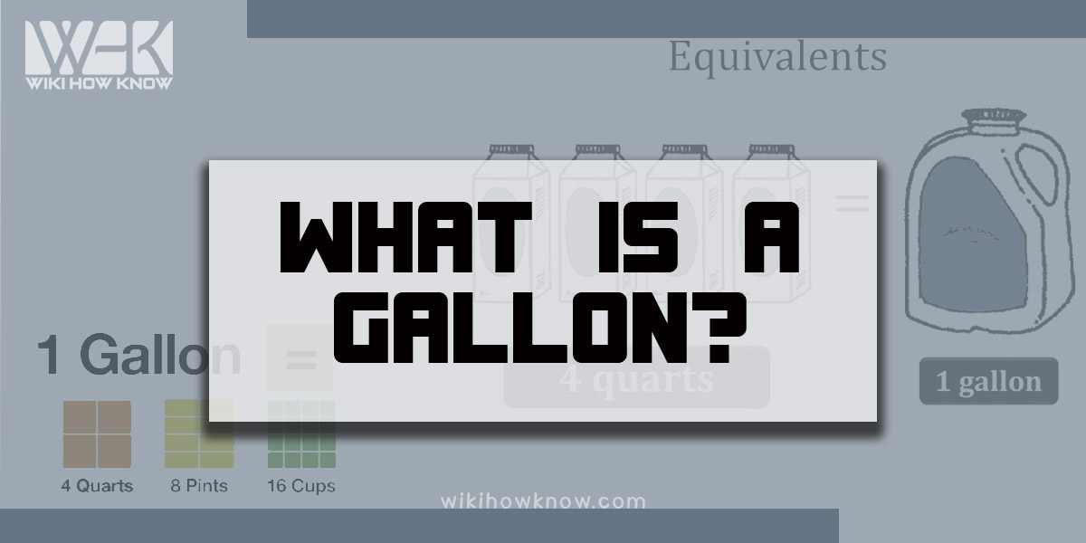 What is Gallon?