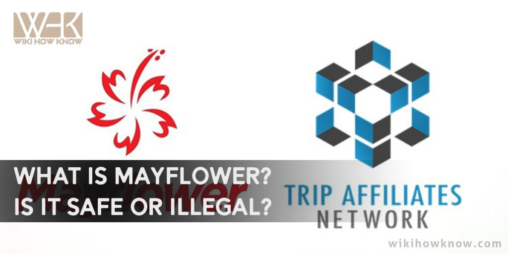 what-is-mayflower-is-it-safe-or-illegal-wikihowknow